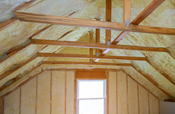 Best Blown-in Insulation  in Algonquin, IL