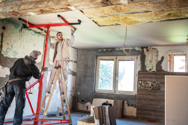 Best Blown-in Insulation  in Algonquin, IL