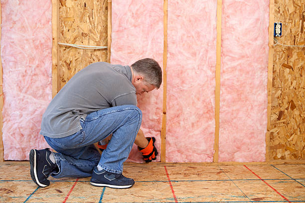 Best Attic Insulation Installation  in Algonquin, IL