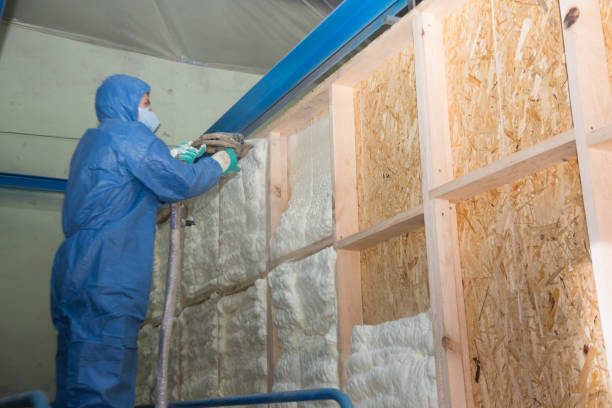 Best Spray Foam Insulation  in Algonquin, IL