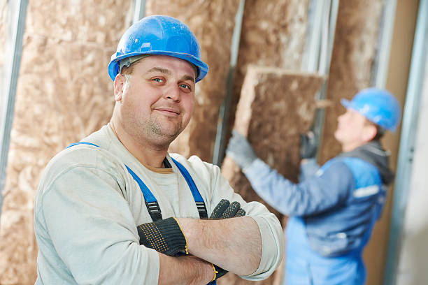 Best Insulation Inspection Services  in Algonquin, IL