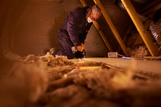 Best Soundproof Insulation Installation  in Algonquin, IL